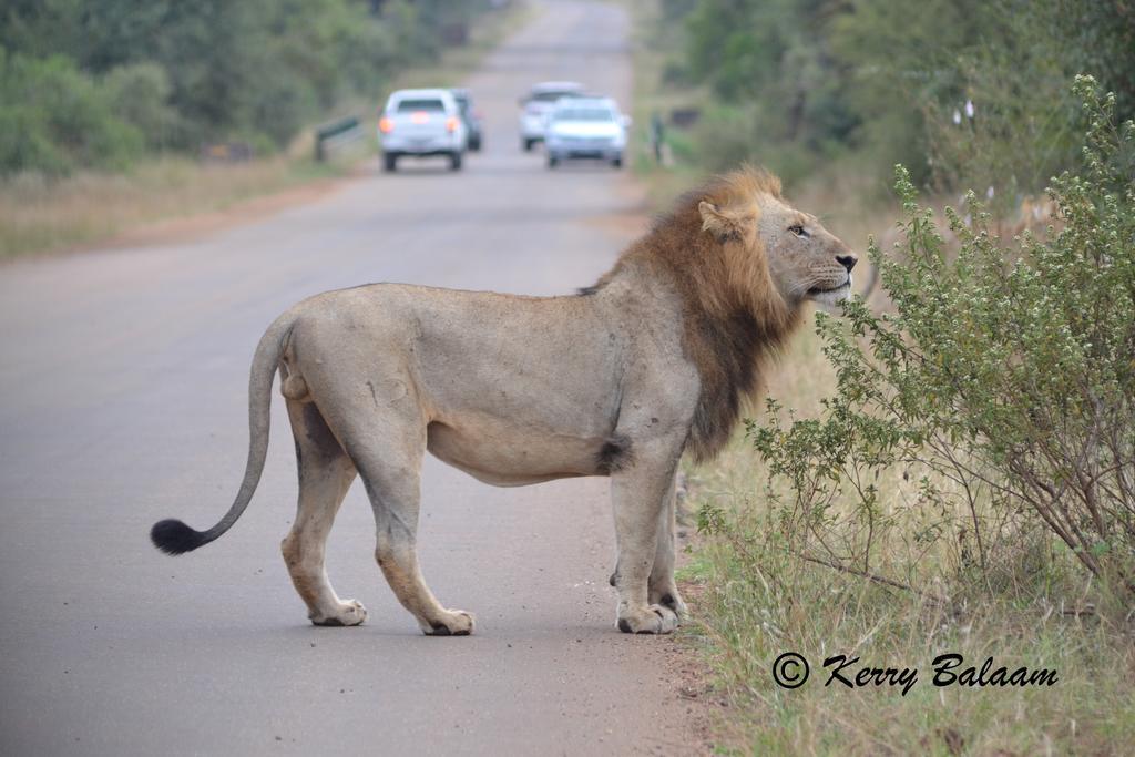 Phumula Kruger Lodge And Safaris Marloth Park Extérieur photo